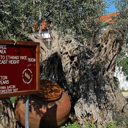 Xenios * Polis